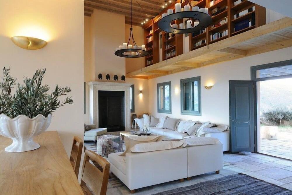 Photo of Livingroom in Andros