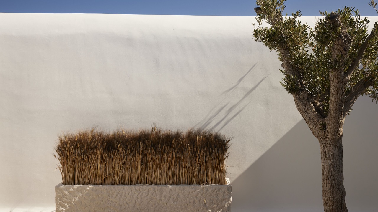 Photo of Outdoor in Ornos