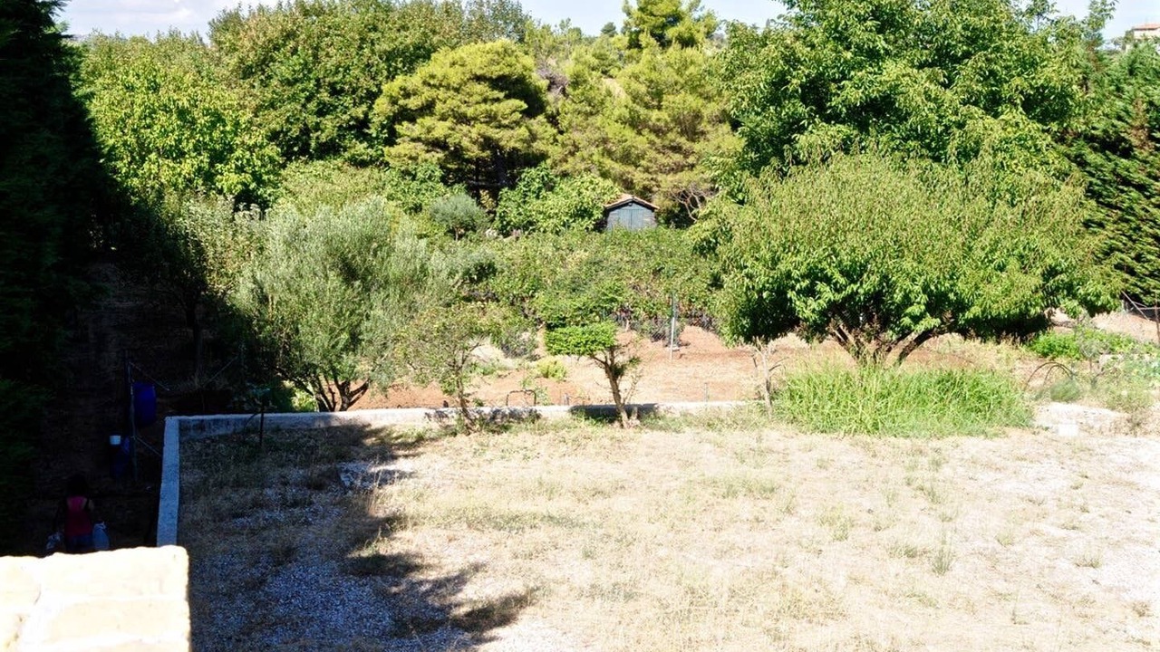 Photo of Outdoor in Oropos