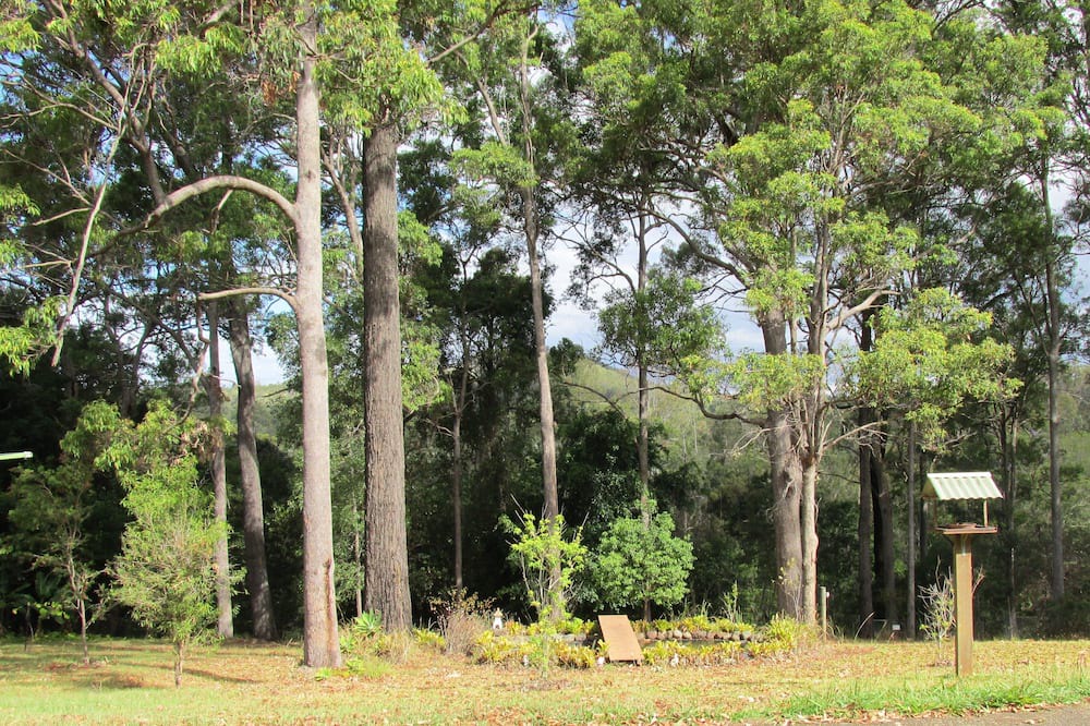 Photo of Others in Nerang