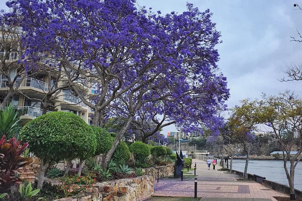 Photo of Outdoor in Kangaroo Point