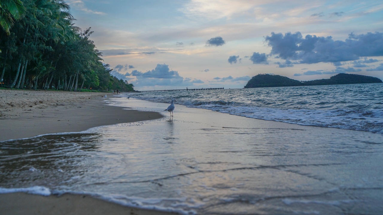 Photo of Others in Palm Cove