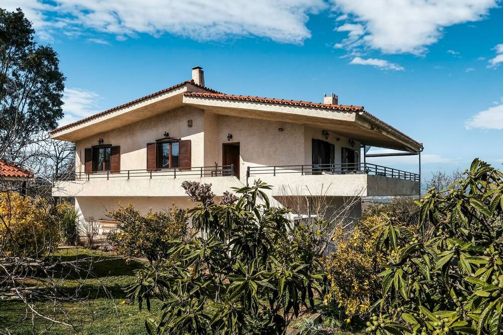 Photo of Outdoor in Tanagra