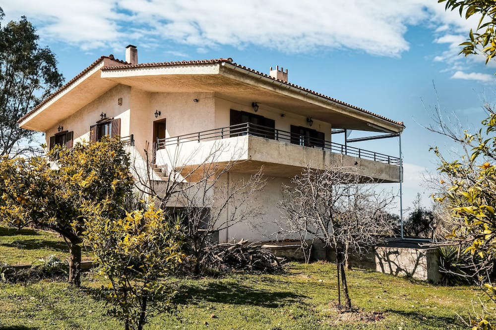 Photo of Outdoor in Tanagra