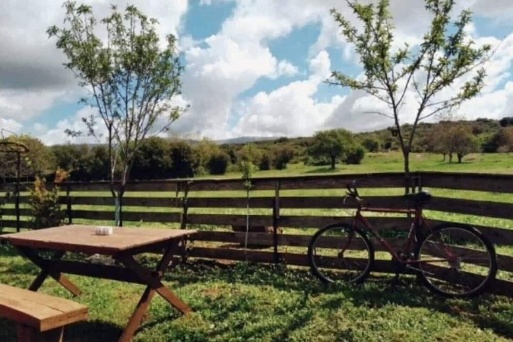Photo of Outdoor in Protopappas