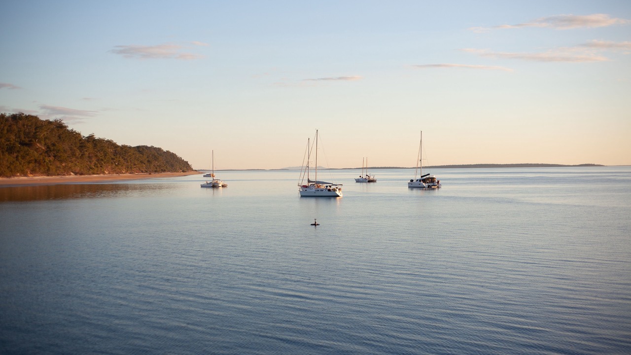 Photo of Others in Kingfisher Bay