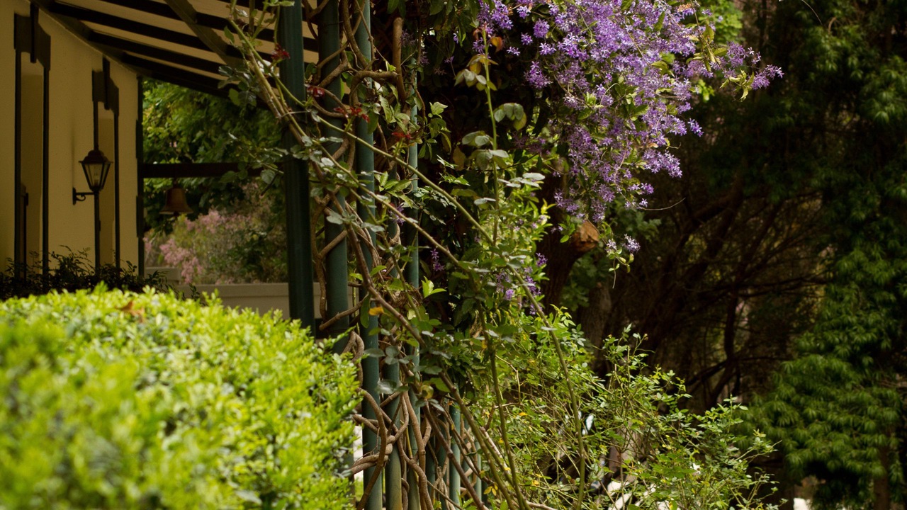 Photo of Outdoor in Hermon