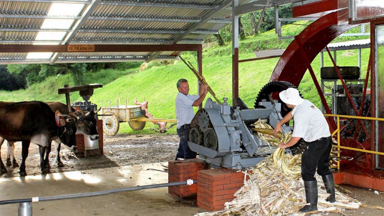 Photo of Others in Santa Elena