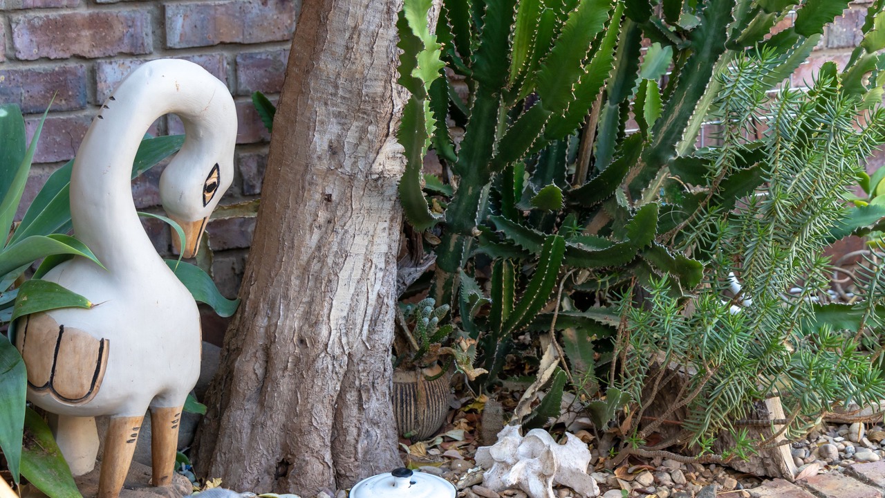 Photo of Outdoor in Oudtshoorn