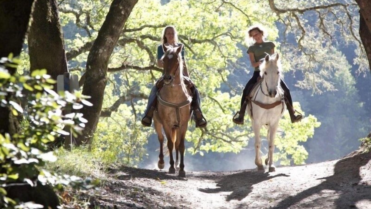 Photo of Outdoor in Metsovo