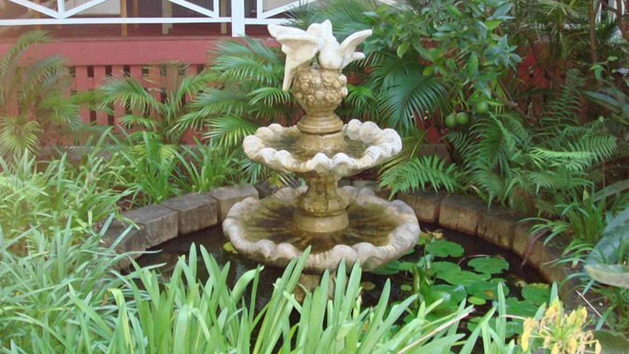 Photo of Outdoor in Buderim