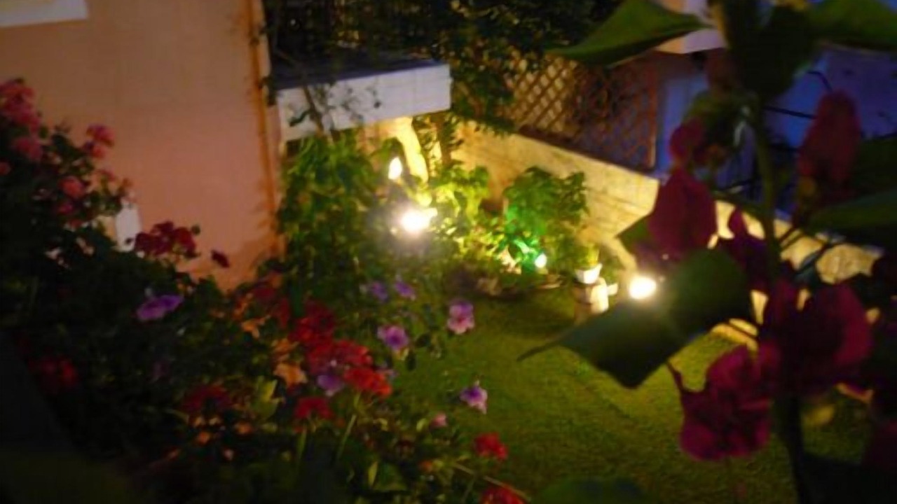 Photo of Outdoor in Lygia