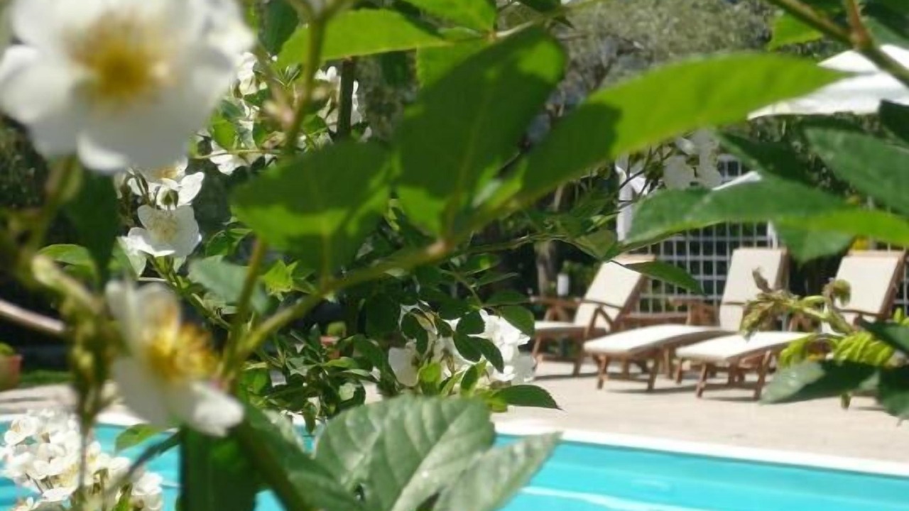 Photo of Outdoor in Lygia