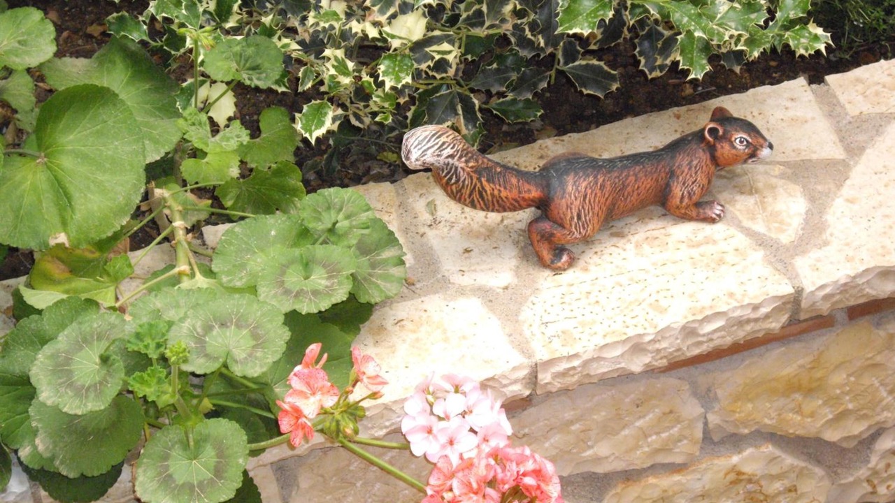 Photo of Outdoor in Delfoi