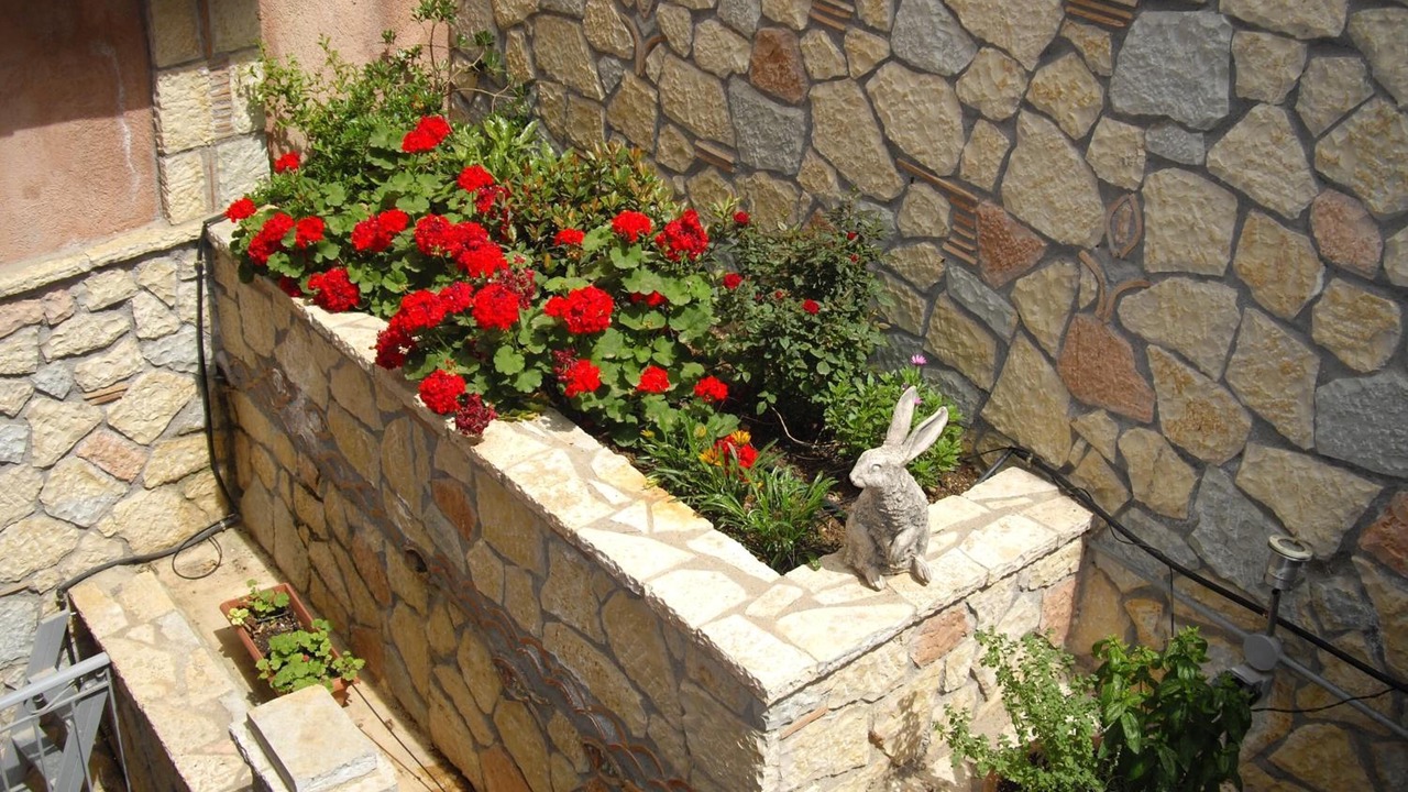 Photo of Outdoor in Delfoi