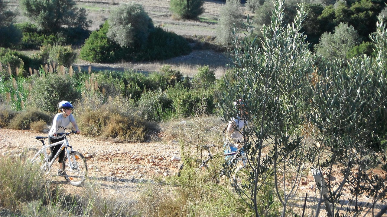 Photo of Outdoor in Pyrgiotika