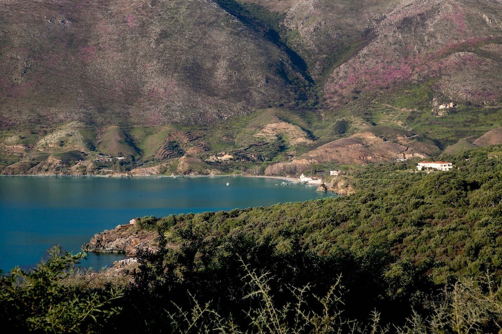 Photo of Outdoor in East Mani