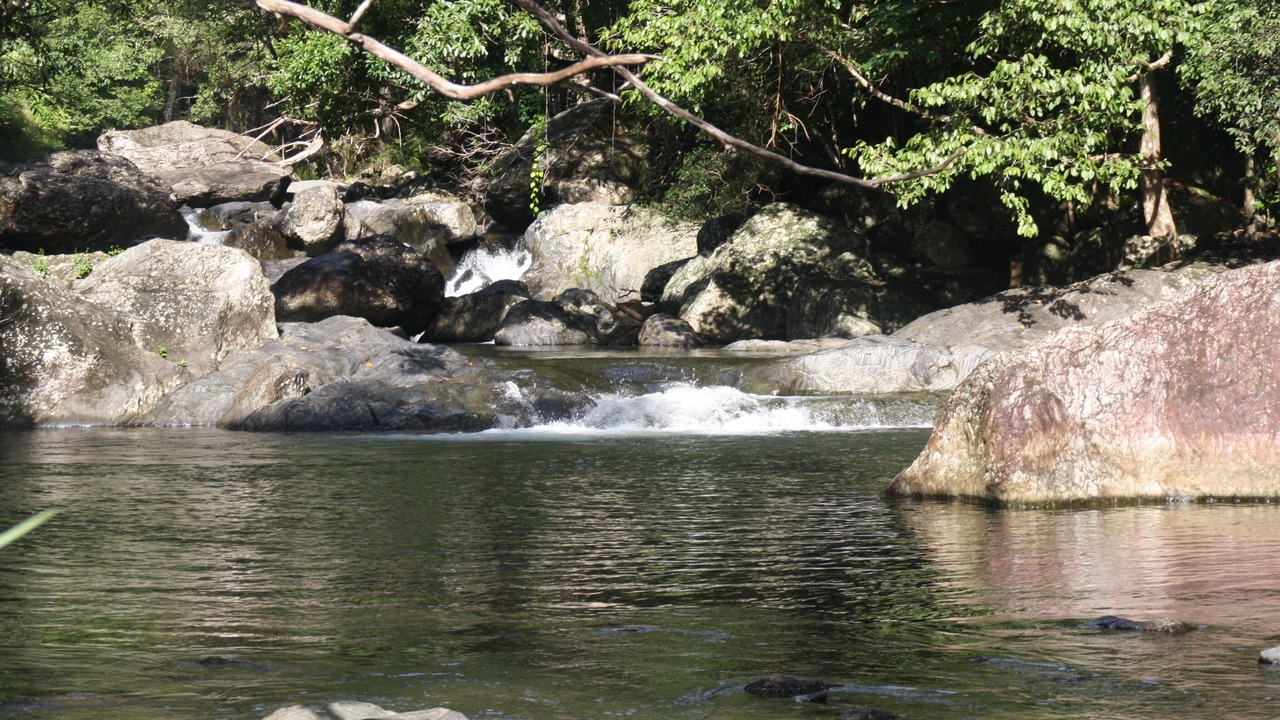 Photo of Others in Redlynch