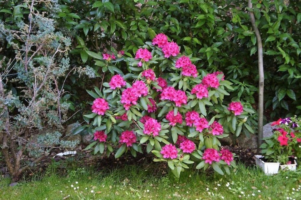 Photo of Outdoor in Dirfys-Messapia