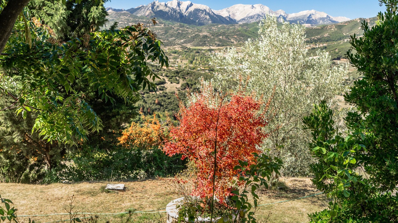 Photo of Outdoor in Kalavrita