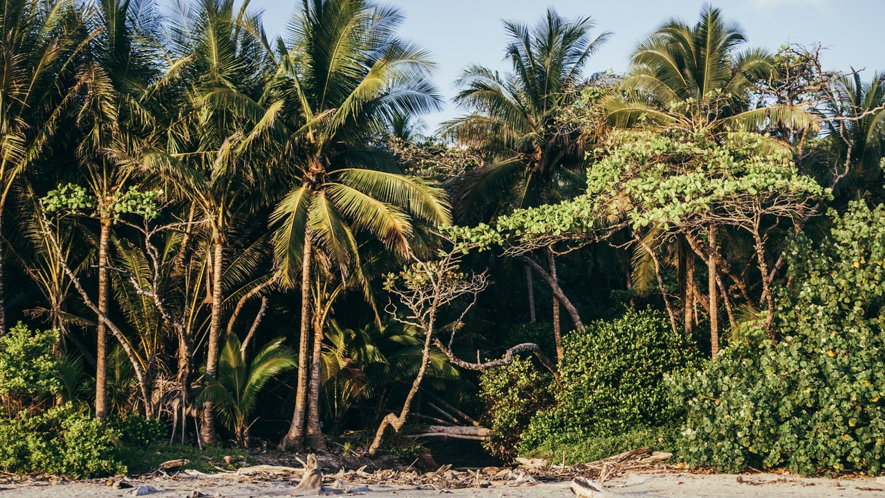 Photo of Others in Playa Hermosa Cobano