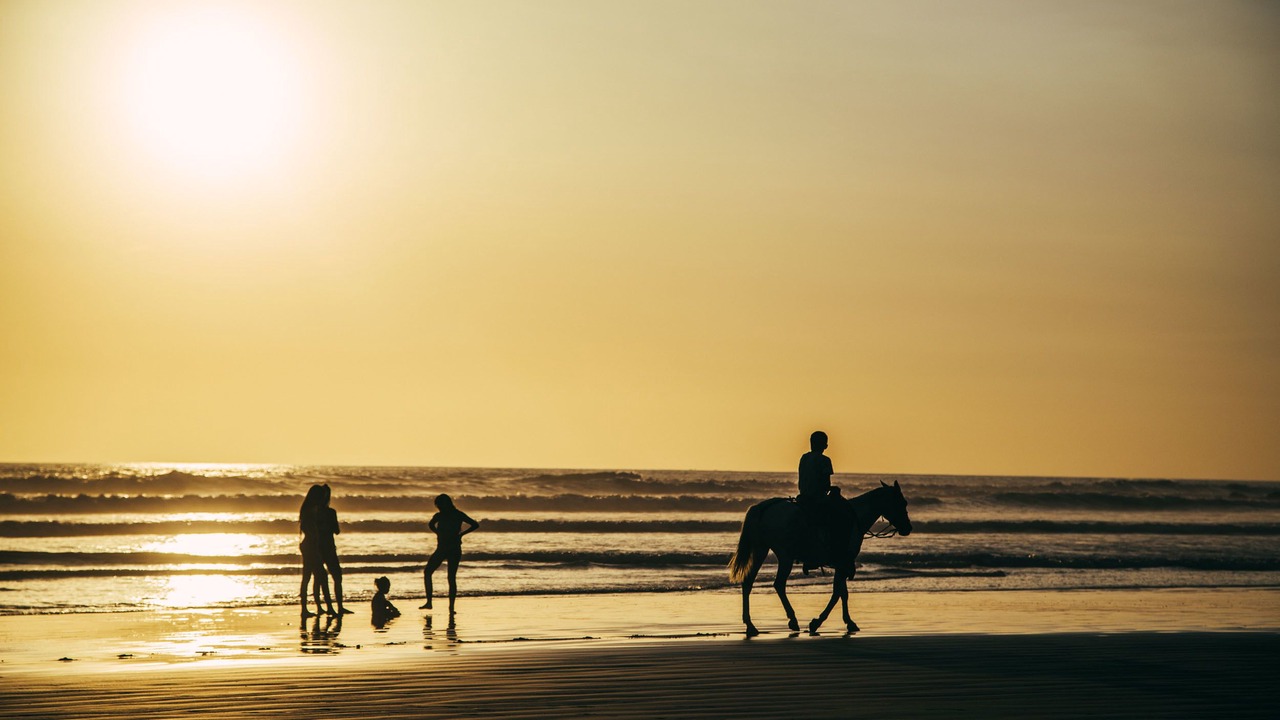 Photo of Others in Playa Hermosa Cobano