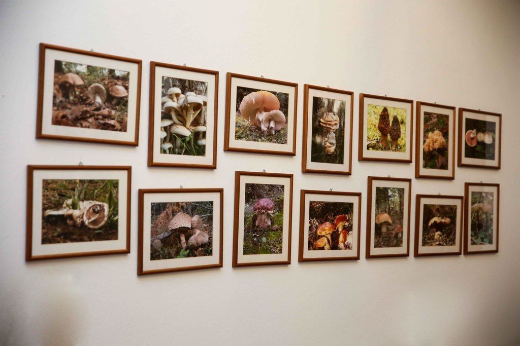 Photo of Others in Loutra Ypatis