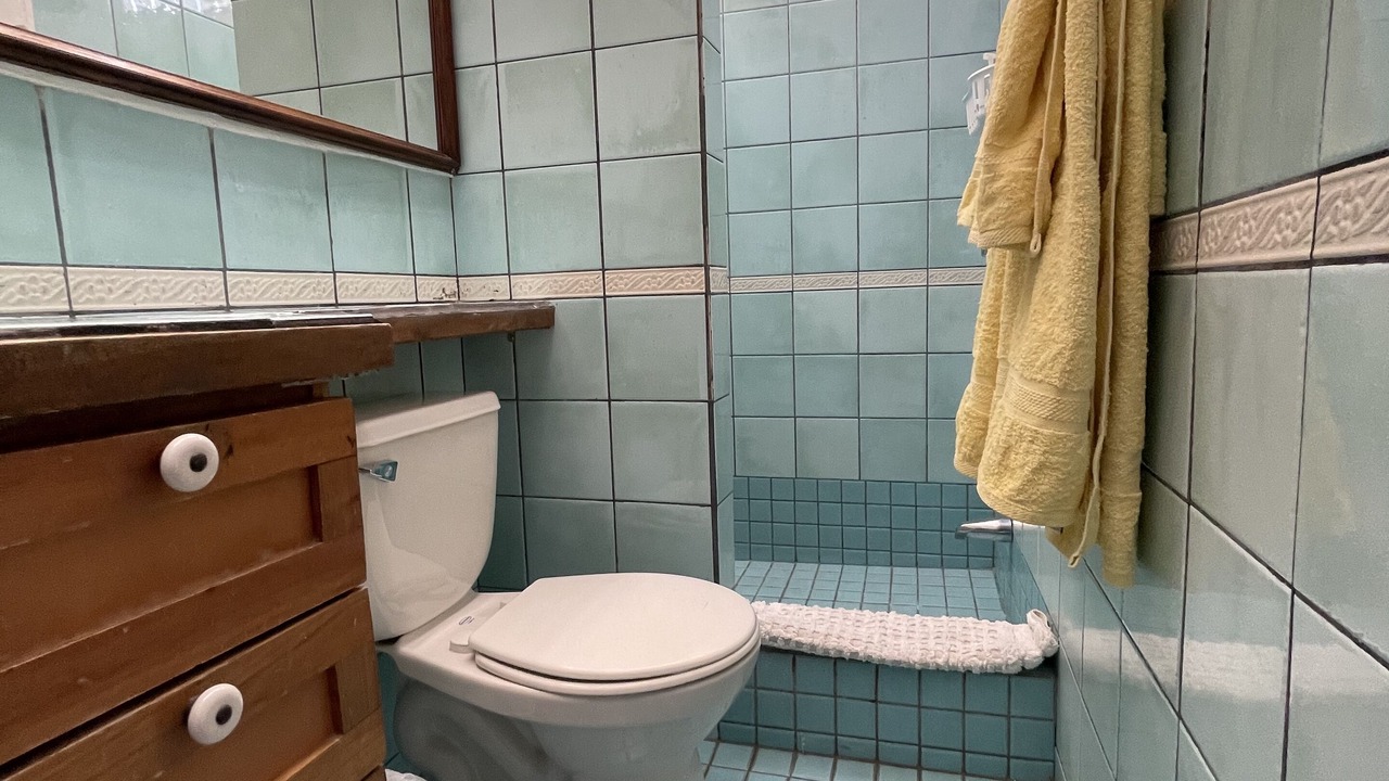 Photo of Bathroom in Escazu