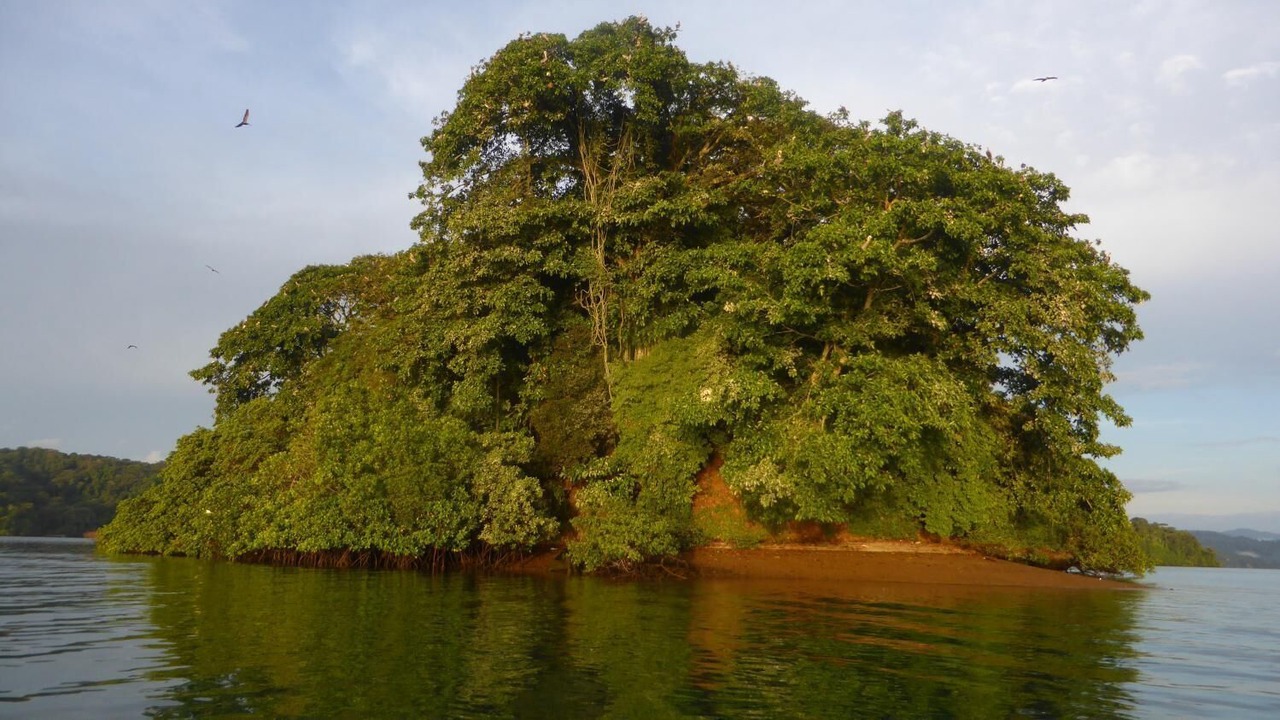 Photo of Outdoor in Golfito
