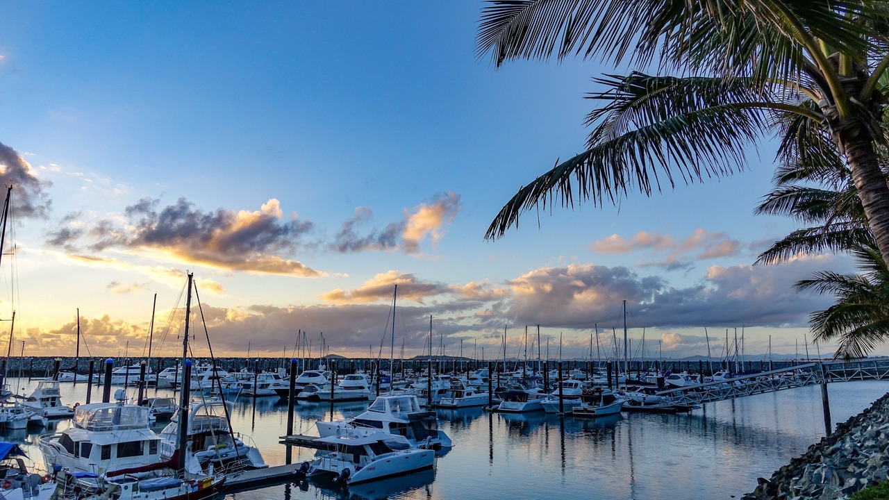 Photo of Others in Mackay Harbour