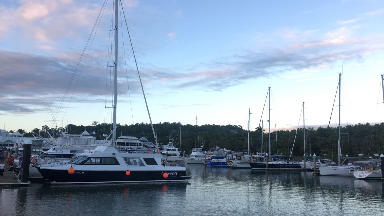 Photo of Others in Port Douglas