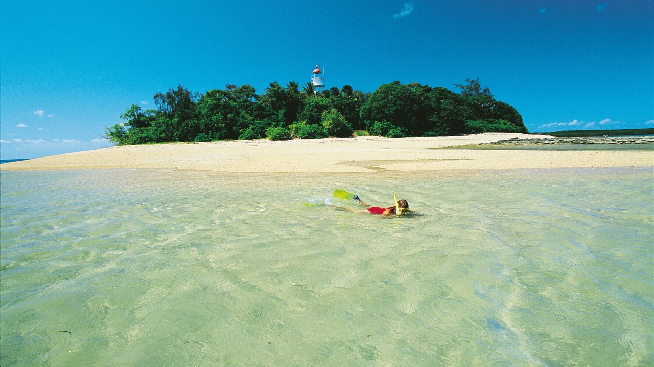 Photo of Others in Port Douglas