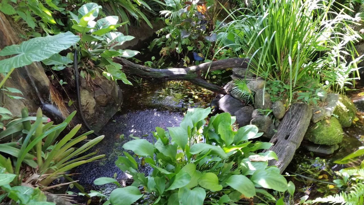 Photo of Outdoor in Woree