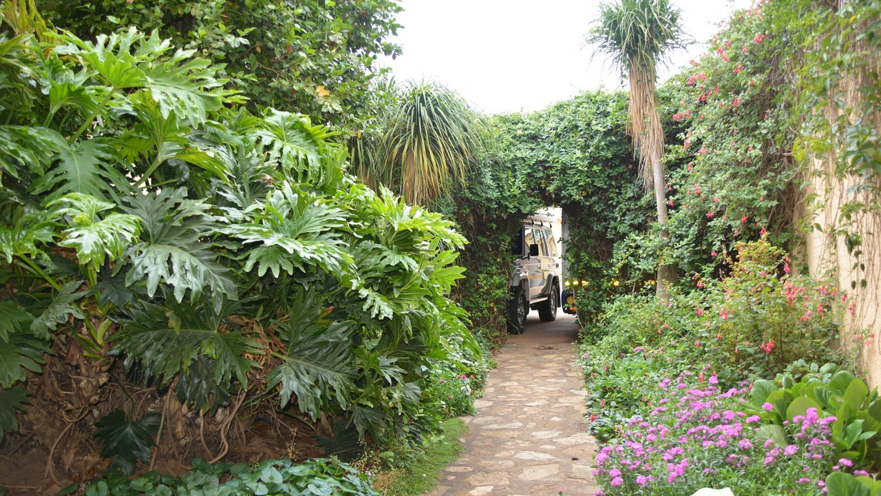 Photo of Outdoor in Graskop