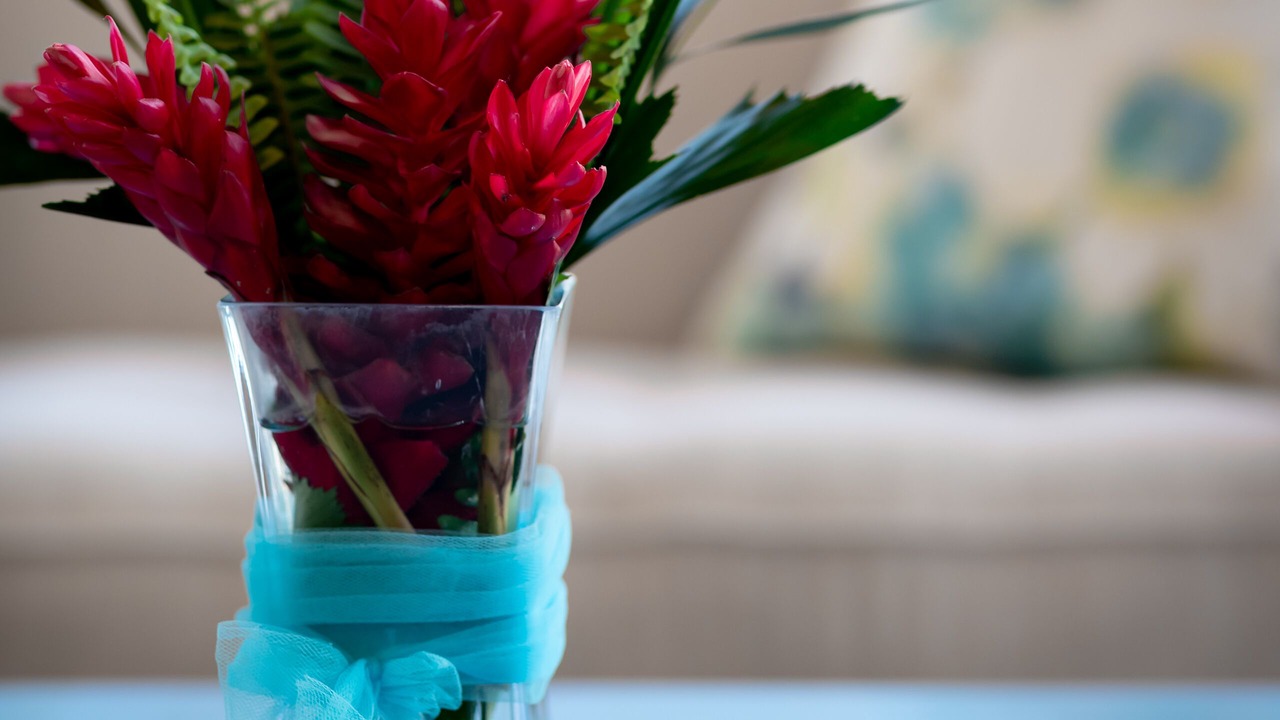 Photo of Others in Ballena