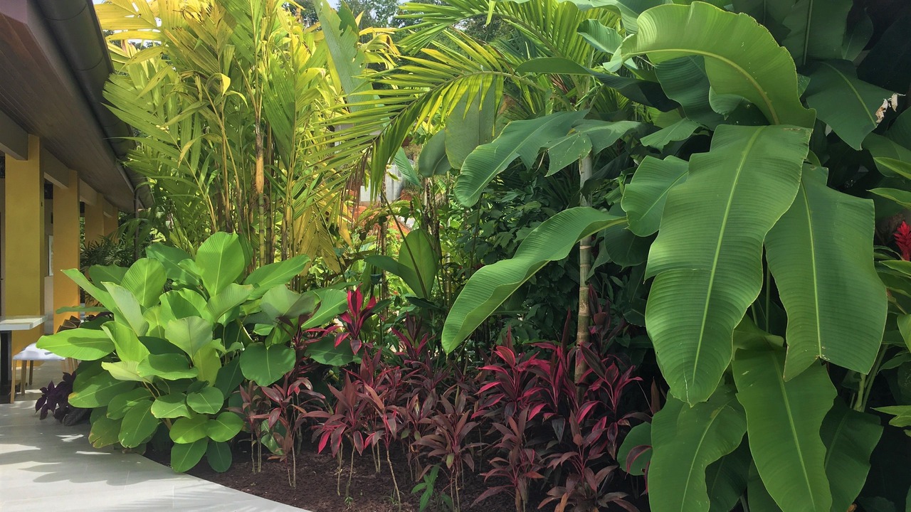 Photo of Outdoor in Ballena