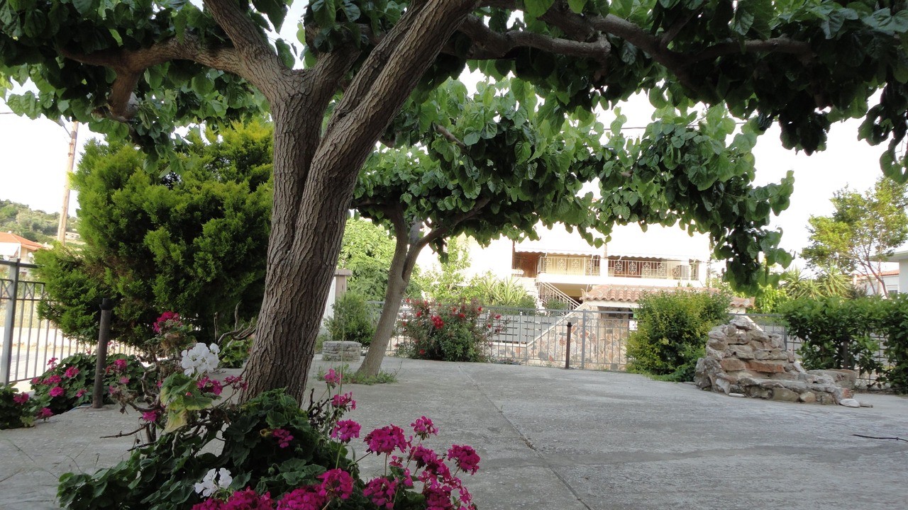 Photo of Patio Balcony in Agii Apostoli