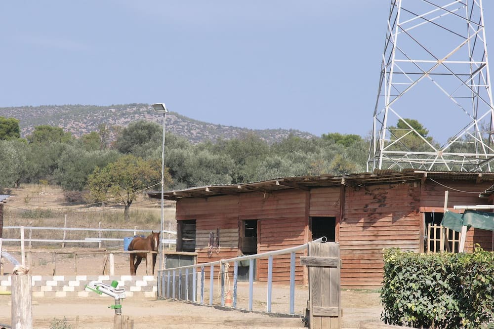 Photo of Others in Eretria