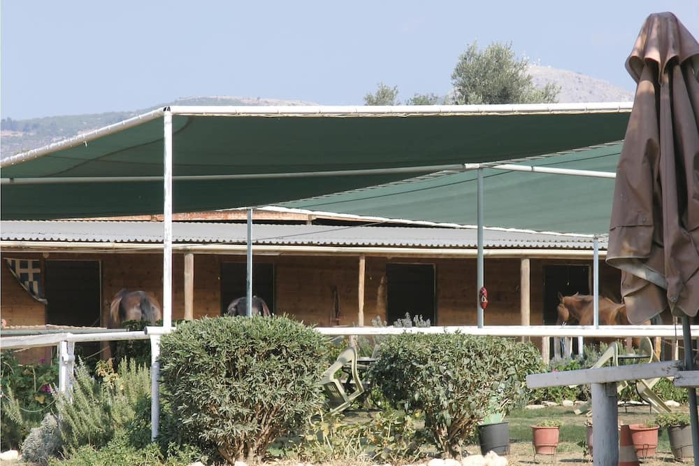 Photo of Others in Eretria