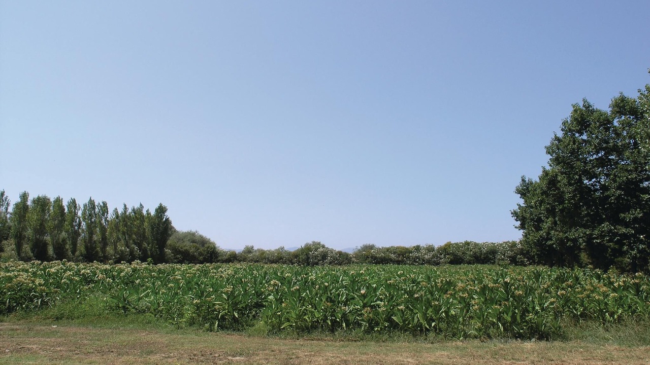 Photo of Outdoor in Amfilochia