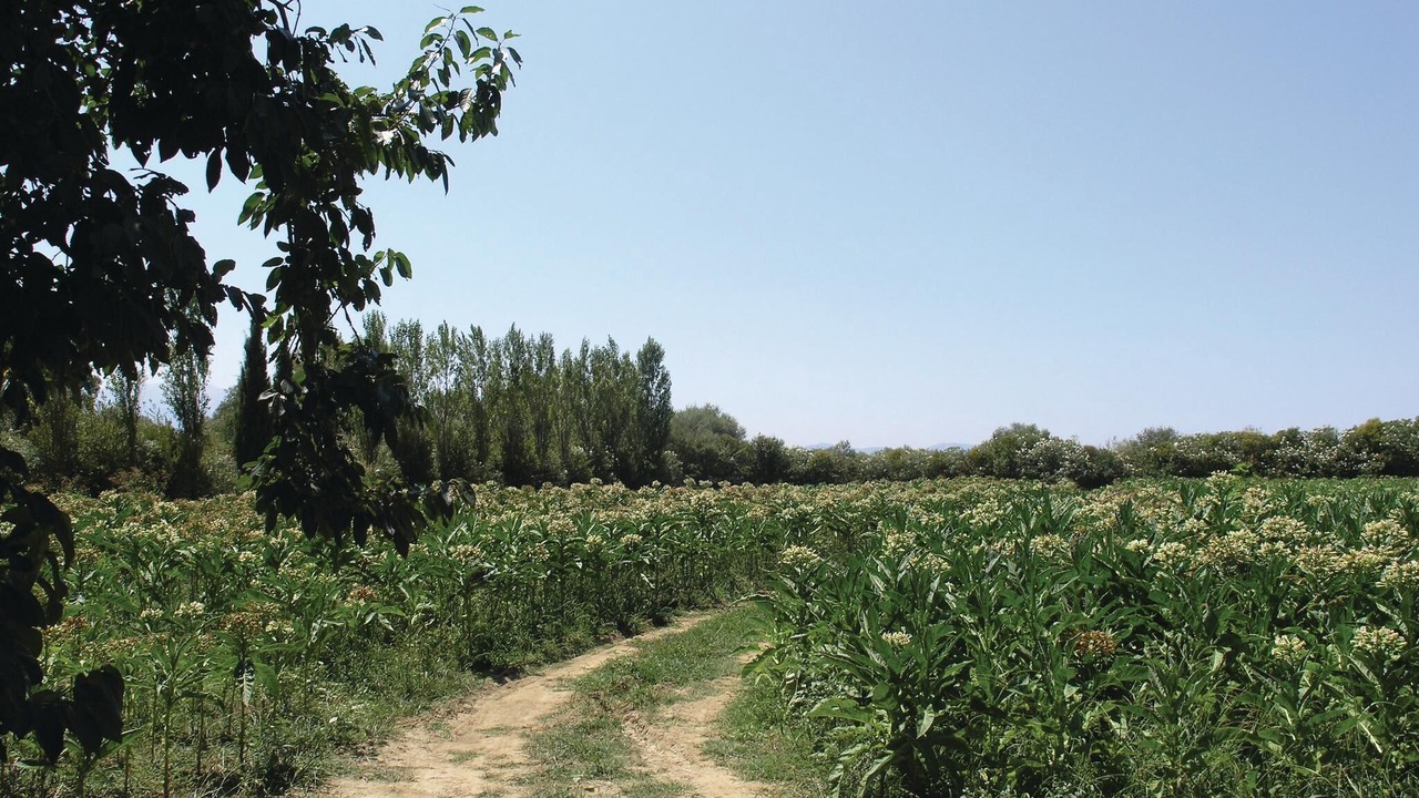Photo of Outdoor in Amfilochia