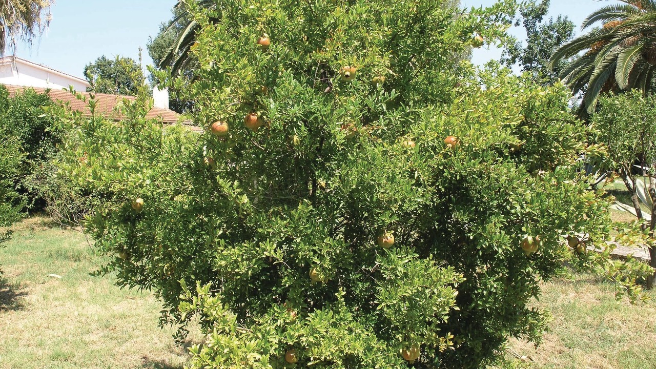 Photo of Outdoor in Amfilochia