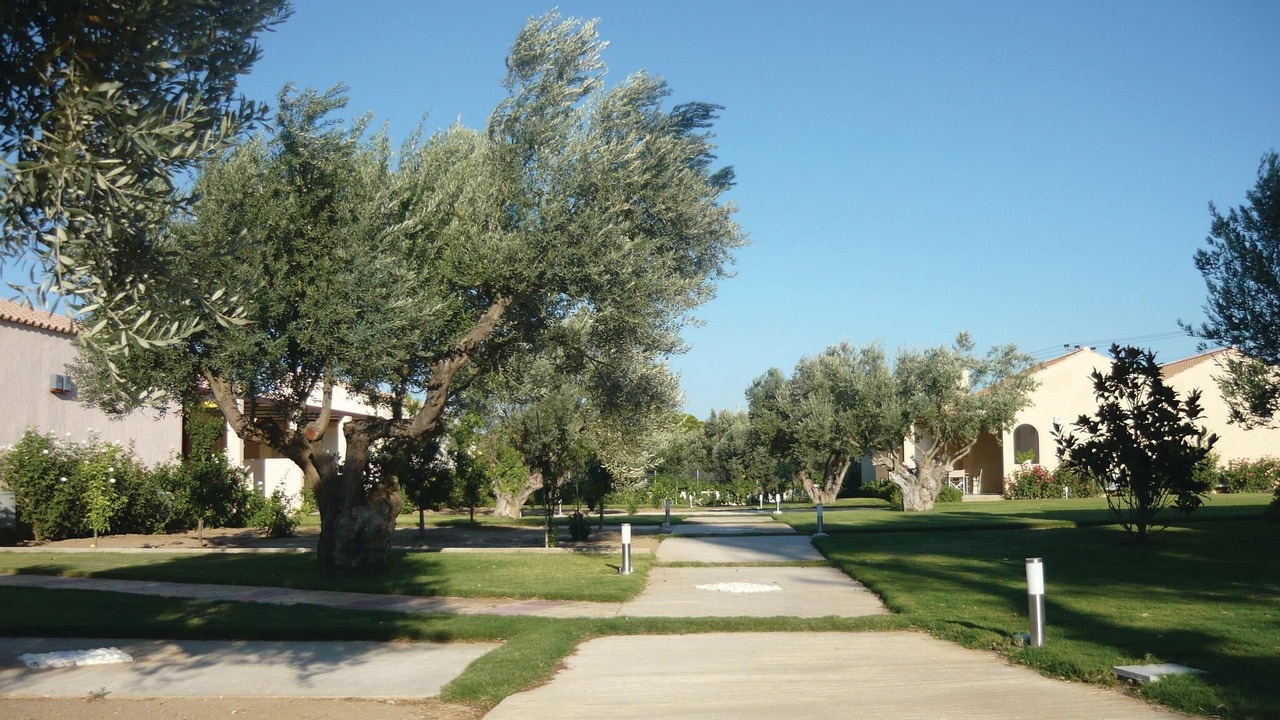 Photo of Outdoor in Agii Apostoli