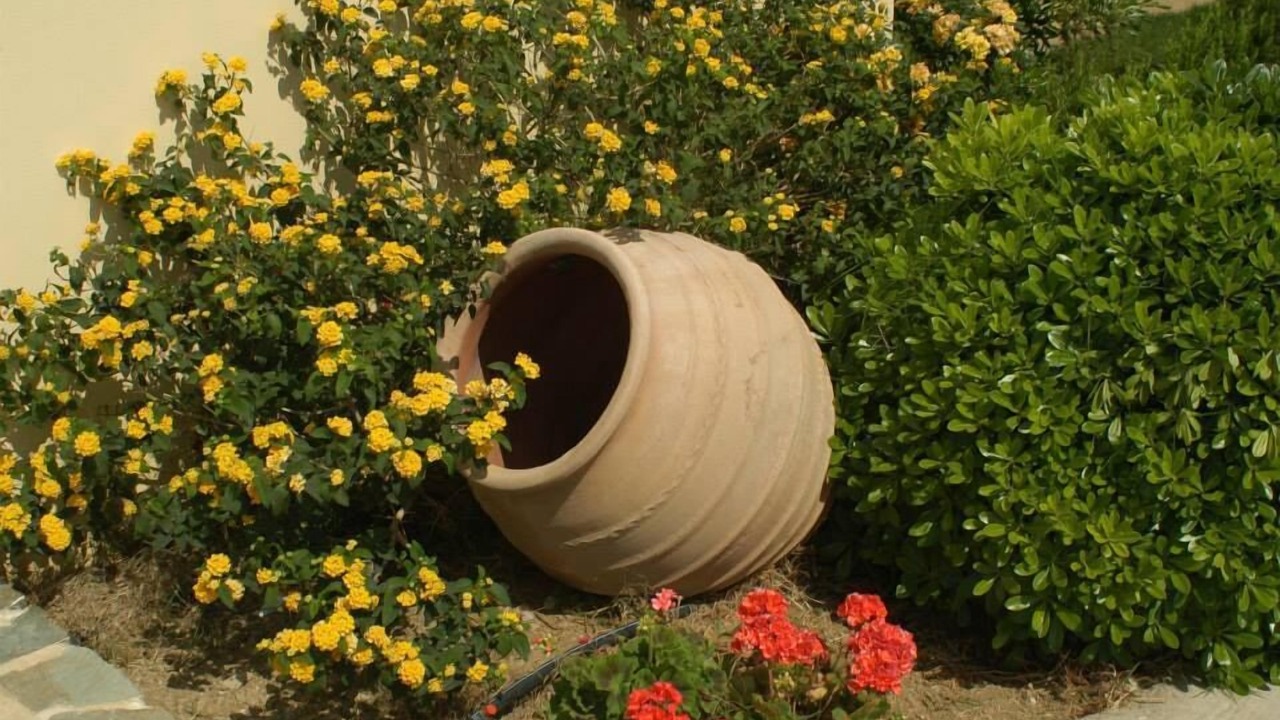 Photo of Outdoor in Karystos