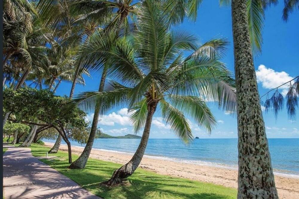 Photo of Others in Trinity Beach