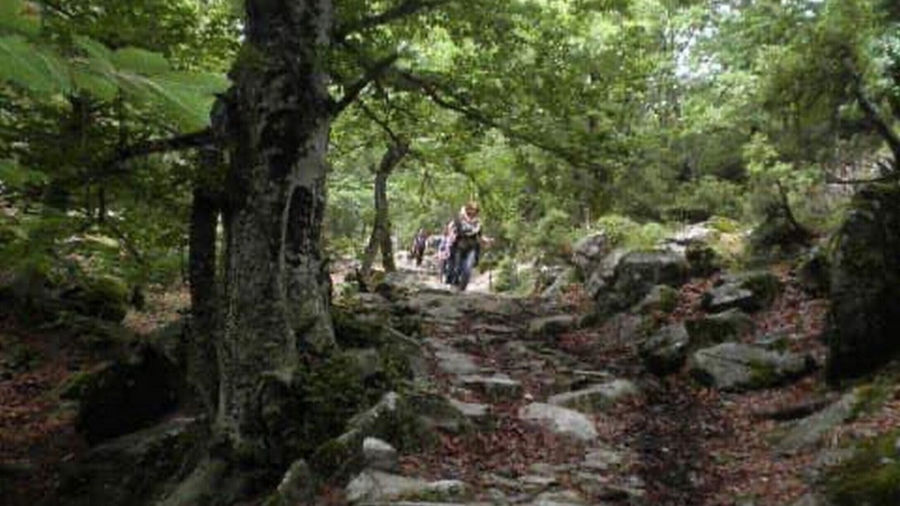 Photo of Outdoor in Platania