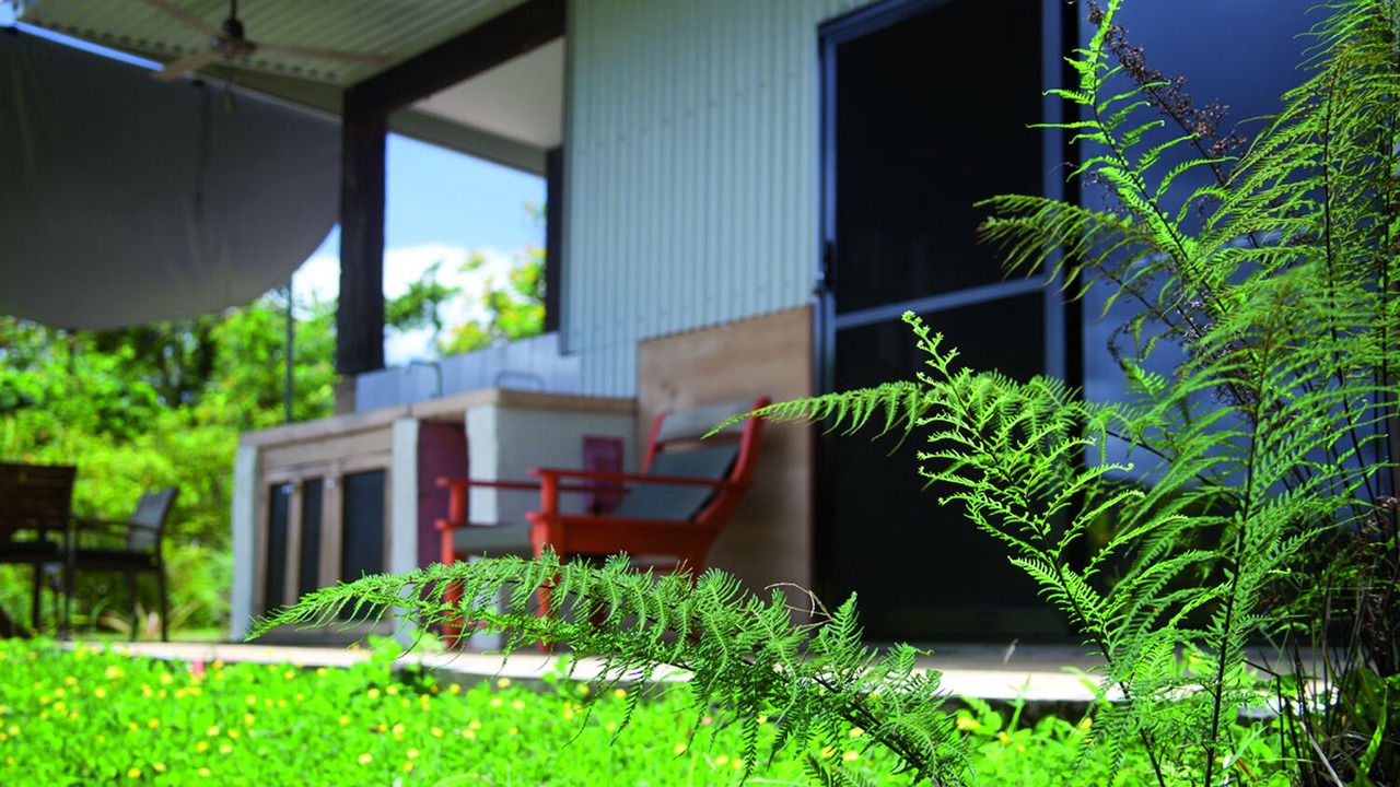 Photo of Outdoor in Cow Bay