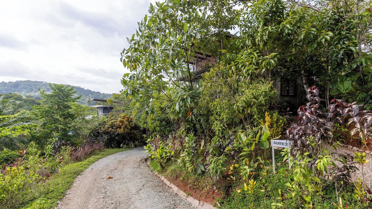 Photo of Outdoor in Golfito