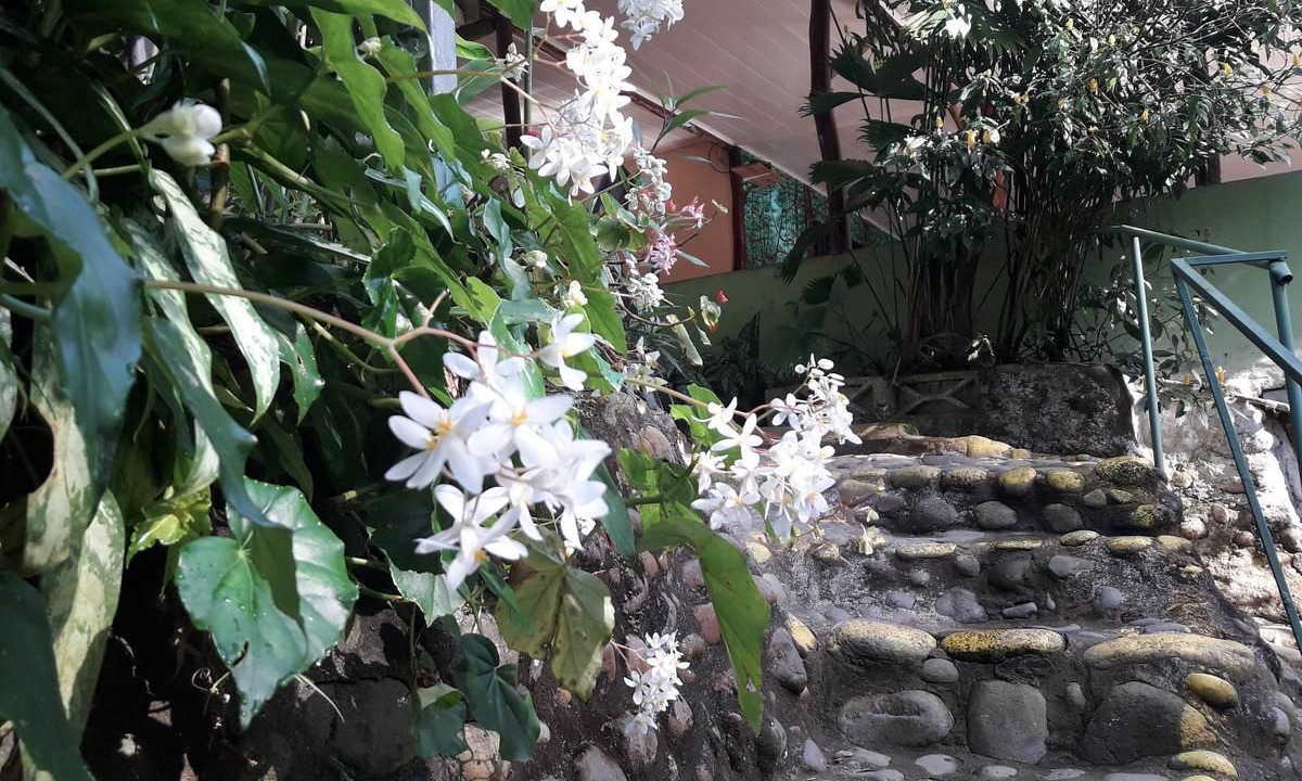 Photo of Outdoor in Chilamate