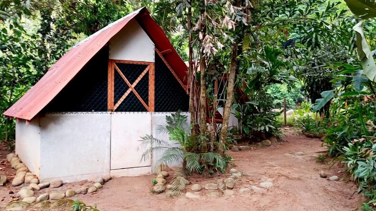 Photo of Outdoor in Chilamate
